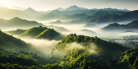 Beautiful green mountain landscape with morning sunrise sky and fog. Aerial view of green trees in tropical mountain forests and fog in winter. - Powered by Adobe
