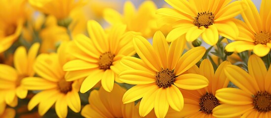A bunch of vibrant yellow daisies is arranged neatly inside a clear vase, showcasing their bright color and delicate petals. The daisies are displayed with their stems in water, keeping them fresh and