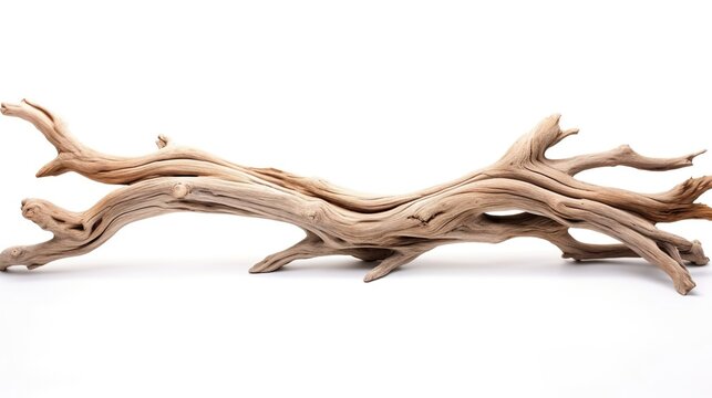 Beautiful winding driftwood for product photography. Grape branch on a table with beautiful sunlight, photo. High quality photo