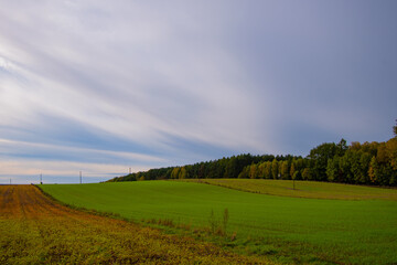 Krajobraz z polami i lasem