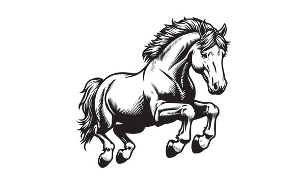 Horse, horse logo, horse design, horse logo design, horse vector logo, icon 