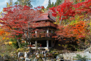 Fototapeta premium 紅葉に佇む建物