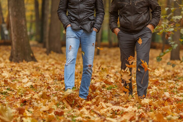 Detail of two friend in black jackets walk in autumn woods, front view