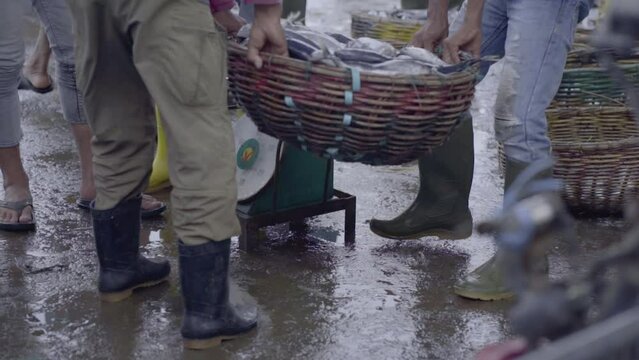 Fish traders who are busy with various trading activities