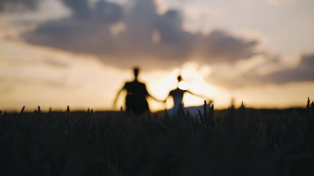 Cool shots of a man and a woman at sunset in a field. Their silhouettes are out of focus. Fabulous shots