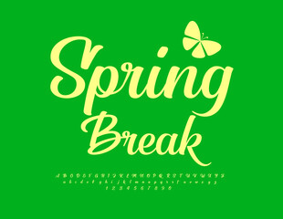 Vector cute Emblem Spring Break. Beautiful Calligraphic Font. Modern Cursive Alphabet  Numbers and Symbols.