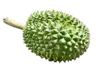 Durian fruit isolated on white background , smell , king of Thai fruit.