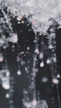 Vertical video. Particles of powder or medicinal substance fall into the water, sports supplement, process of dissolution in water. Macro, Slow Motion.