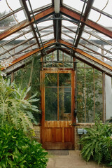 Greenhouse interior 