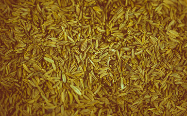 eingefärbte Lebensmittel als Bildschirm Hintergrund