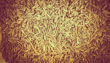 eingefärbte Lebensmittel als Bildschirm Hintergrund