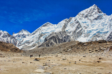Nuptse towers over the plains near Gorakshep in this bright afternoon view from the base of Kala pathar, Nepal