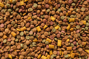Pet Food Texture. Lot of Dry Granules of Crunchy Dog or Cat Food. Rotating Background. Animal Feed Pile. Fodder. Meal for Cats, Dogs. Filling. Daylight. Advertising. Pet Shop, Delivery. Healthy Treat