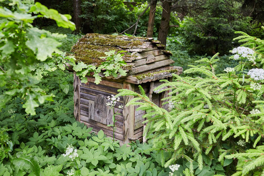 Old wooden beehive in the forest