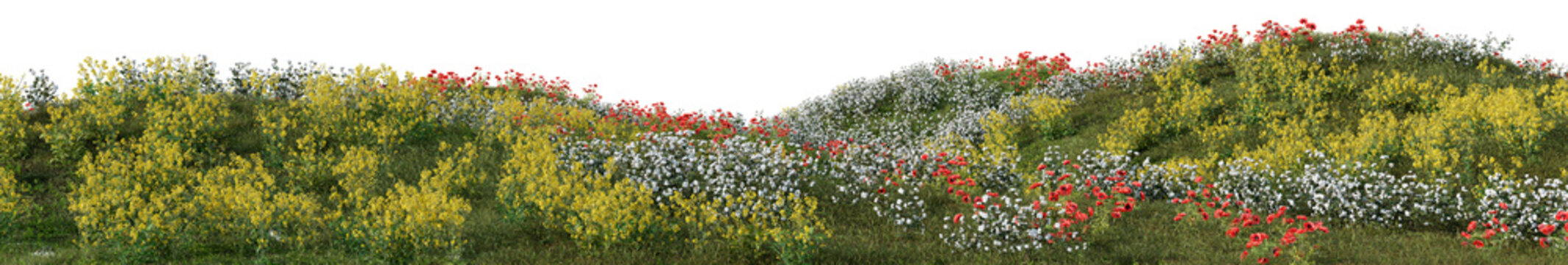 Colorful wild  fowers and grass field on the mountainn, forest in springtime with isolated on transparent background - PNG file, 3D rendering illustration for create and design or etc