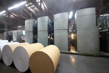 Rolls of paper and Roll 48-way offset printing machines in tipography