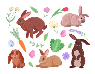 Cute spring rabbits. Fluffy Easter bunnies with flowers and vegetables, funny eared animals with greens and leaves flat vector illustration set. Domestic bunnies on white