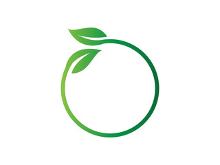 Leaf logo gradient colorful design. leaf logo vector