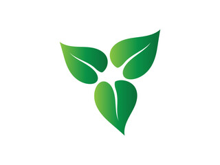 Leaf logo gradient colorful design. leaf logo vector