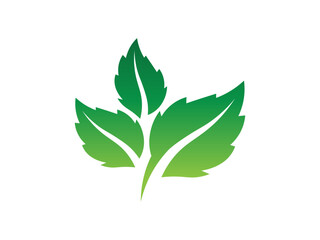 Leaf logo gradient colorful design. leaf logo vector