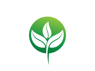 Leaf logo gradient colorful design. leaf logo vector