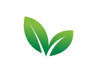 Leaf logo gradient colorful design. leaf logo vector