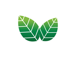 Leaf logo gradient colorful design. leaf logo vector
