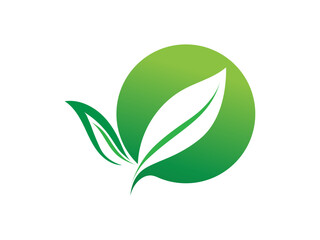 Leaf logo gradient colorful design. leaf logo vector