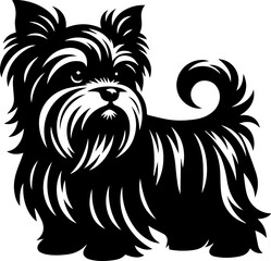 : Affenpinscher icon