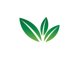 Leaf logo gradient colorful design illustrations