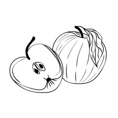 apple fresh fruit on white background