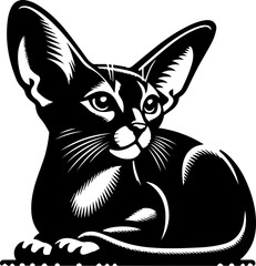  Abyssinian icon