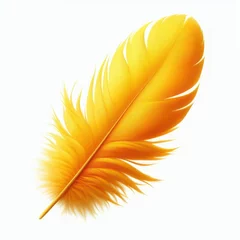 Tableaux sur verre Plumes Brightly feather, isolated over on white background 
