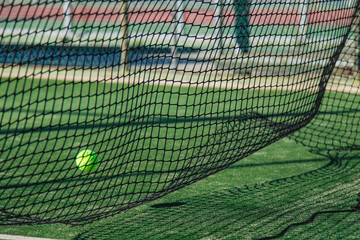 Tennis or padel ball in a net, green field