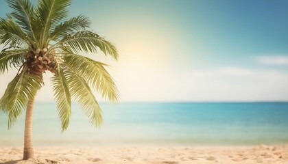 Fototapeta na wymiar palm tree on the beach summer background 