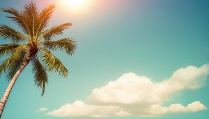 Fototapeta na wymiar palm tree on the beach summer background 