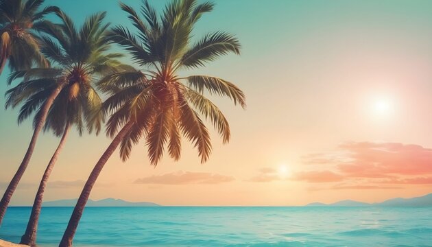 sunset on the beach summer background cover photo with palm tree 