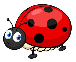 ladybug cartoonon on white background