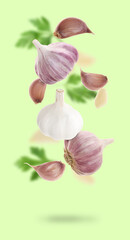 Fresh garlic and parsley falling on light green background