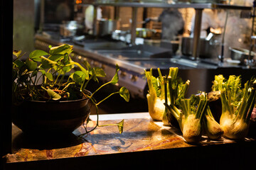 Vivid still life of fresh fennel bulbs on marble counter with potted greenery in a restaurant...