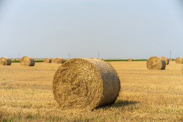 bales of straw © Віталій Віжанський