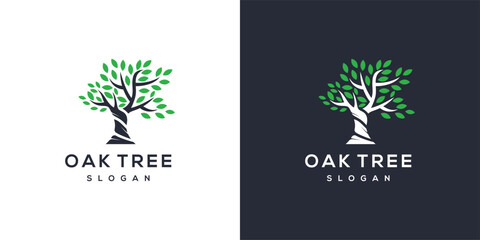 Oak Tree Logo. Tree of life logo design inspiration