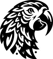 Amazon Parrot animal 