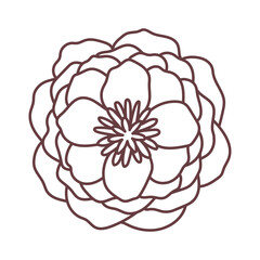 Vector line color hand-drawn illustration with stylized decorative Peony flowers. SVG cut file for Cricut.
