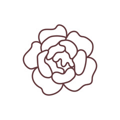 Vector line color hand-drawn illustration with stylized decorative Peony flowers. SVG cut file for Cricut.