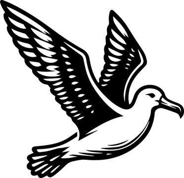 Seagull clip art preview