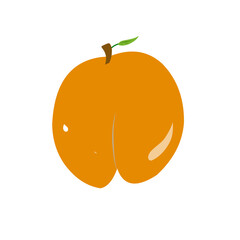 Fruit Cartoons Illustration