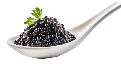 Black caviar in a spoon. Isolated on a transparent background.