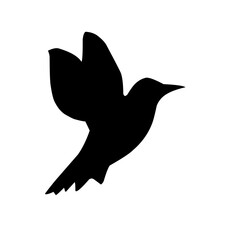 Bird Silhouette