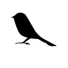 Bird Silhouette